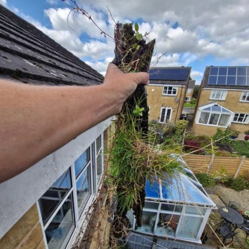 Protect your home from water damage with our thorough gutter clearance service. We safely remove all debris to keep your gutters flowing freely.
